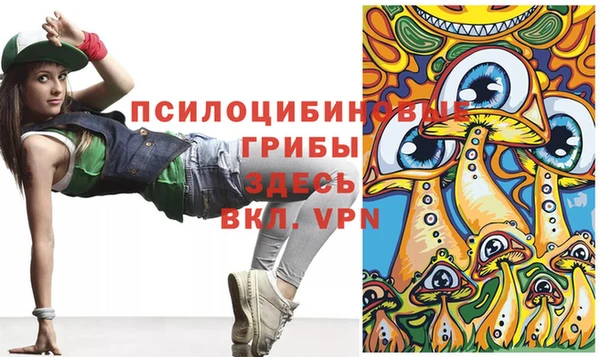ALPHA-PVP Гусиноозёрск