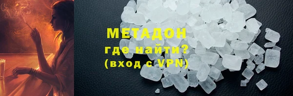 прущие грибы Гусев