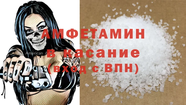 прущие грибы Гусев