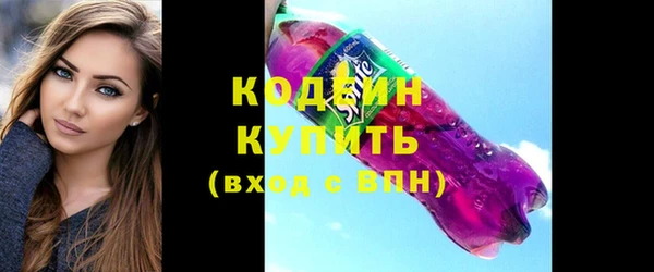 прущие грибы Гусев