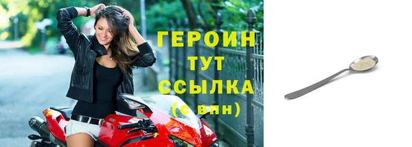 прущие грибы Гусев