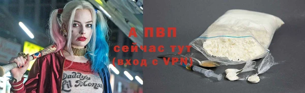 прущие грибы Гусев