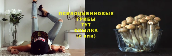 apvp Гусь-Хрустальный