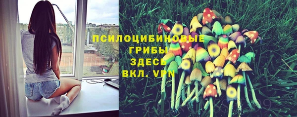 apvp Гусь-Хрустальный