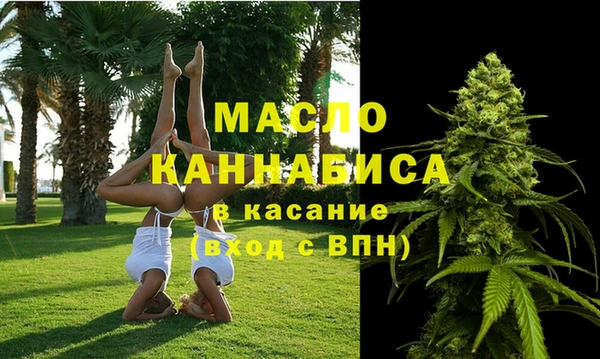 прущие грибы Гусев