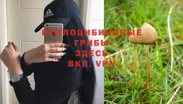 apvp Гусь-Хрустальный