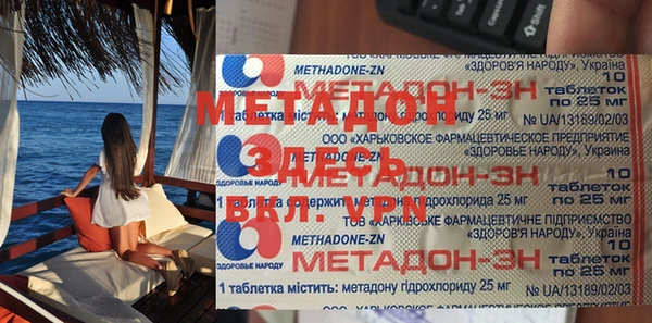 прущие грибы Гусев