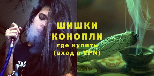 прущие грибы Гусев