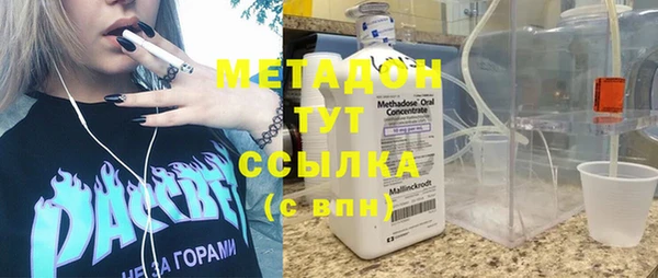 прущие грибы Гусев