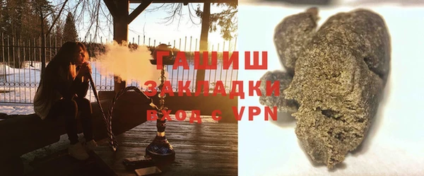 прущие грибы Гусев