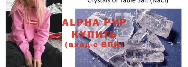 прущие грибы Гусев