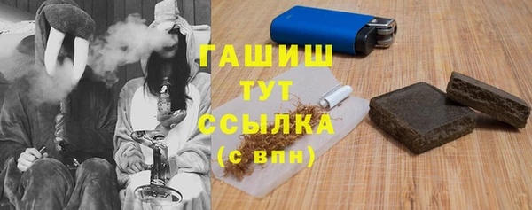 прущие грибы Гусев