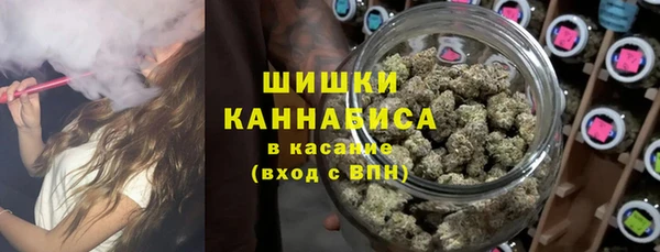 apvp Гусь-Хрустальный