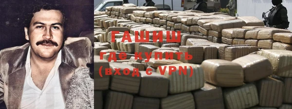 прущие грибы Гусев